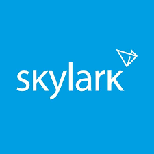 Виртуальная частная сеть Skylark Безопасность и Свобода Интернета